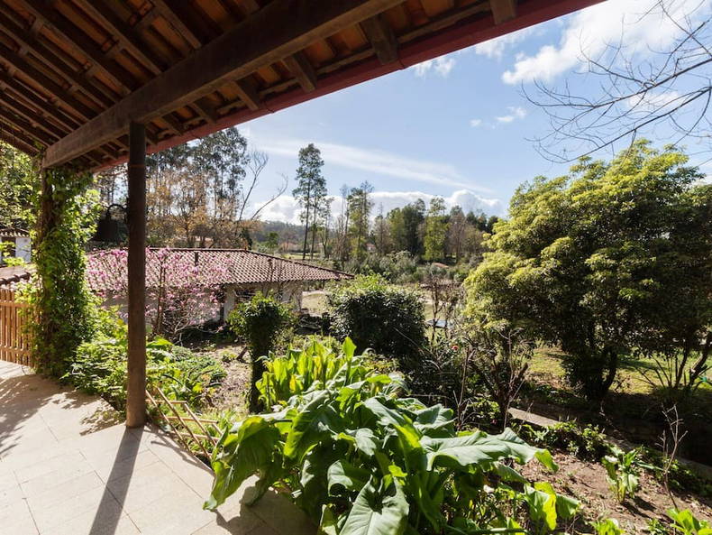 Toda La Casa Espinho 125564-3