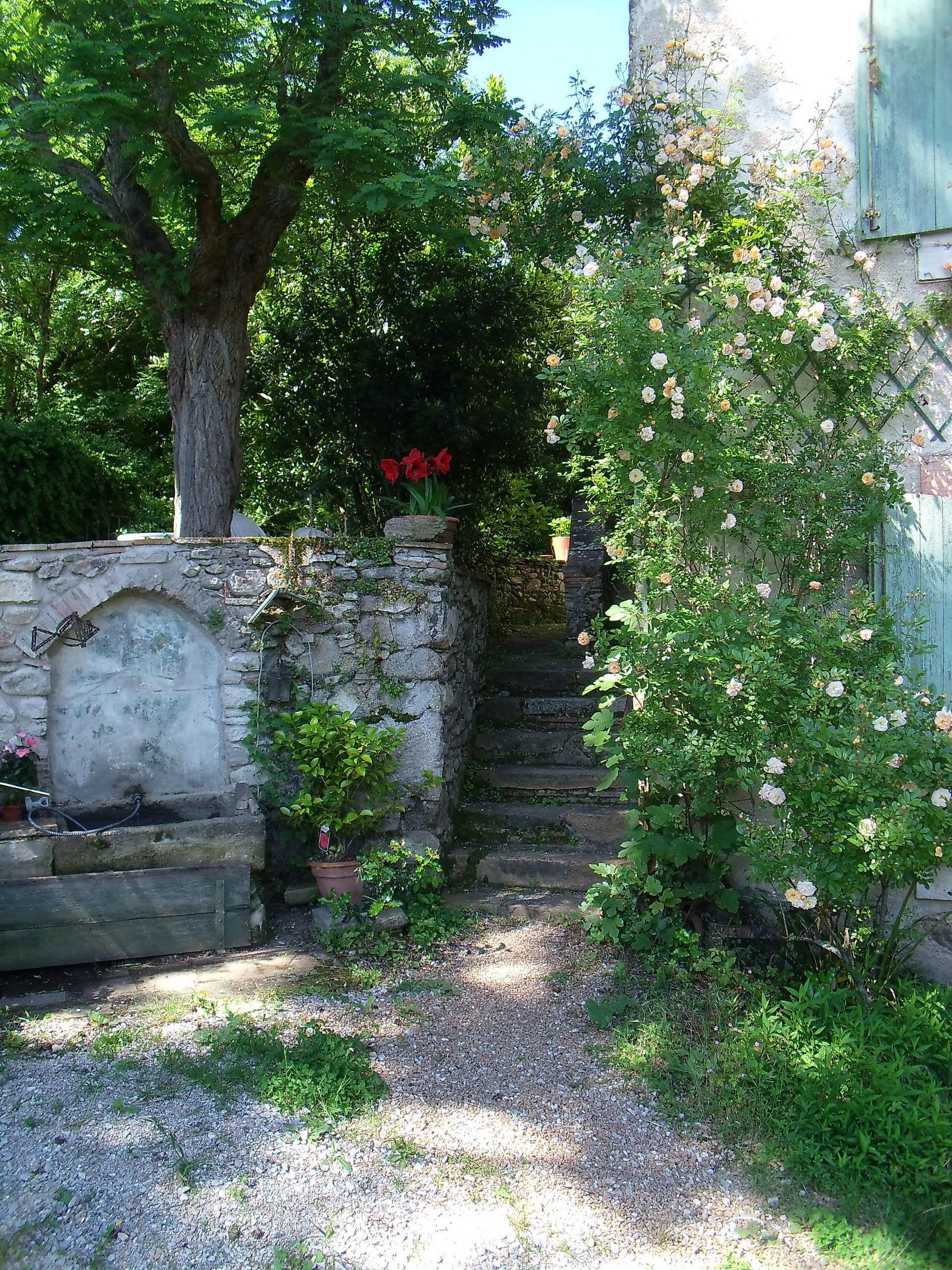 Bed And Breakfast Sorèze 83179