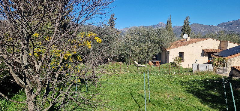 Independent Studio Berre-les-Alpes 454674