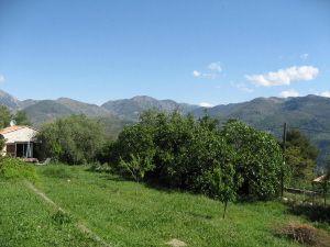 Independent Studio Berre-les-Alpes 454674