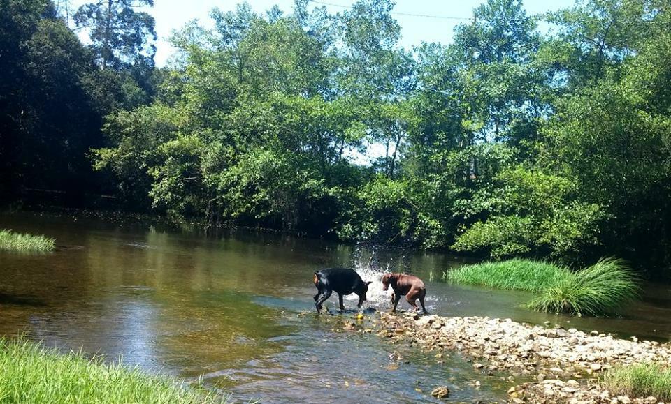 Pokoje Gościnne Viana do Castelo 162490