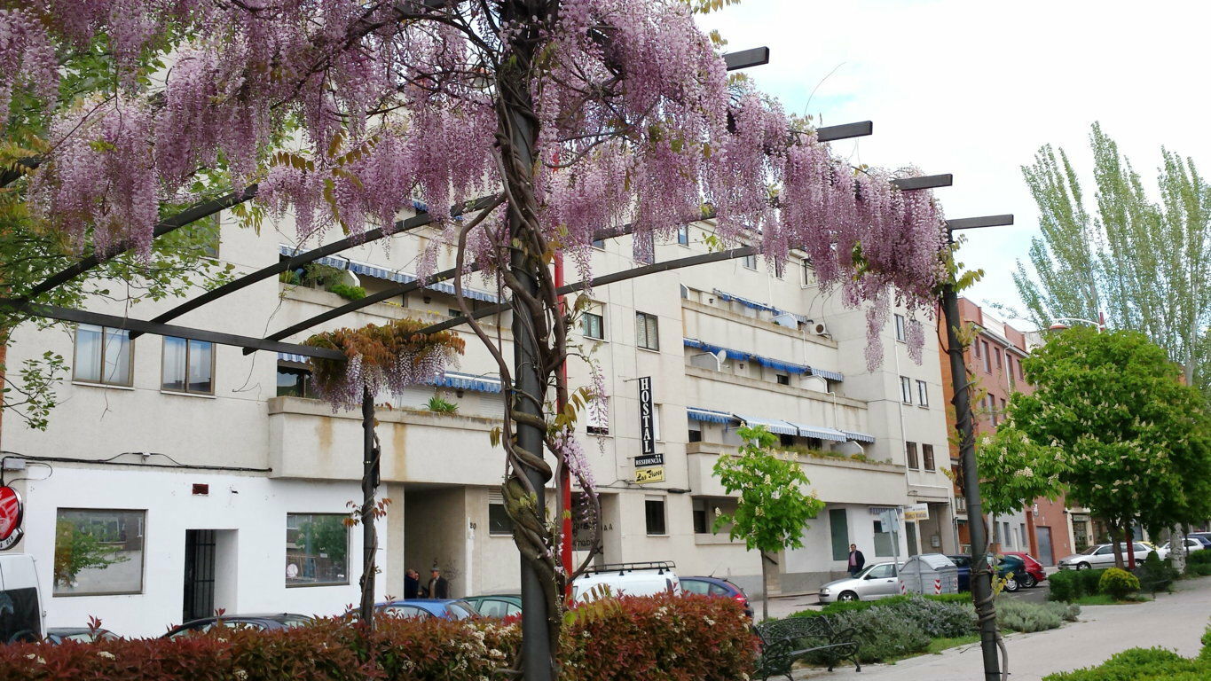 Colocación Santa Marta de Tormes 76992