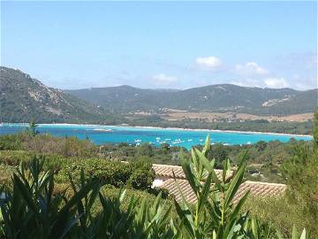 Toda La Casa Porto-Vecchio 129526-2