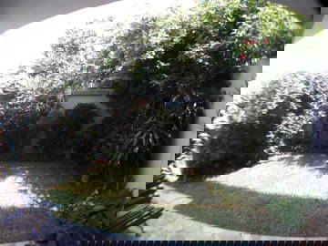 Colocation Miraflores 264274-8