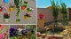 Bed And Breakfast Cairanne 102620