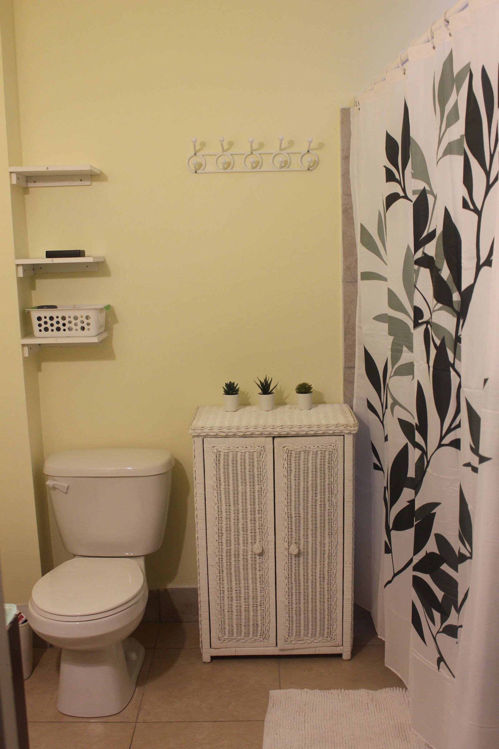 Kolokation Montréal 247114