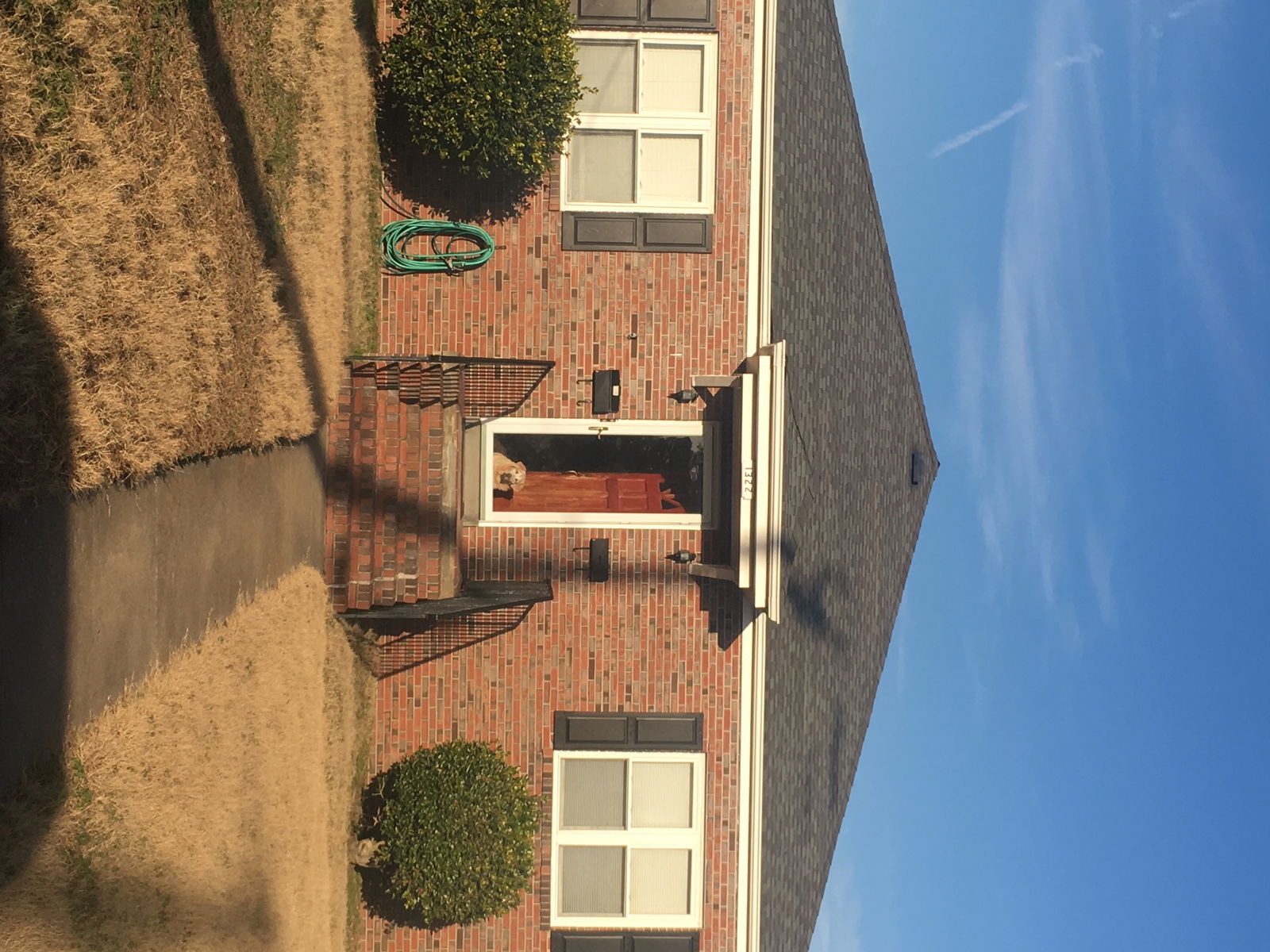 Kolokation Norfolk 193111