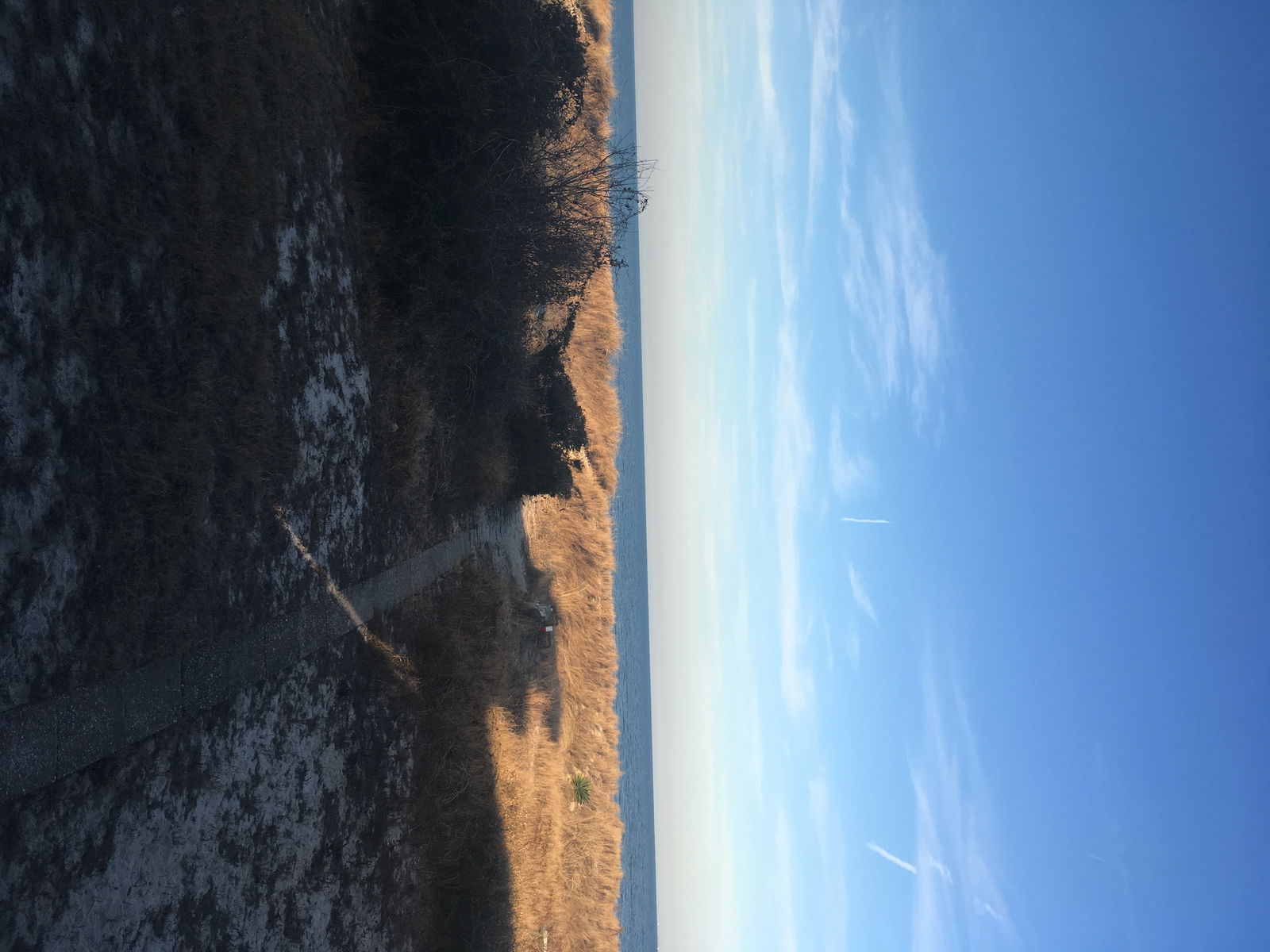 Kolokation Norfolk 193111