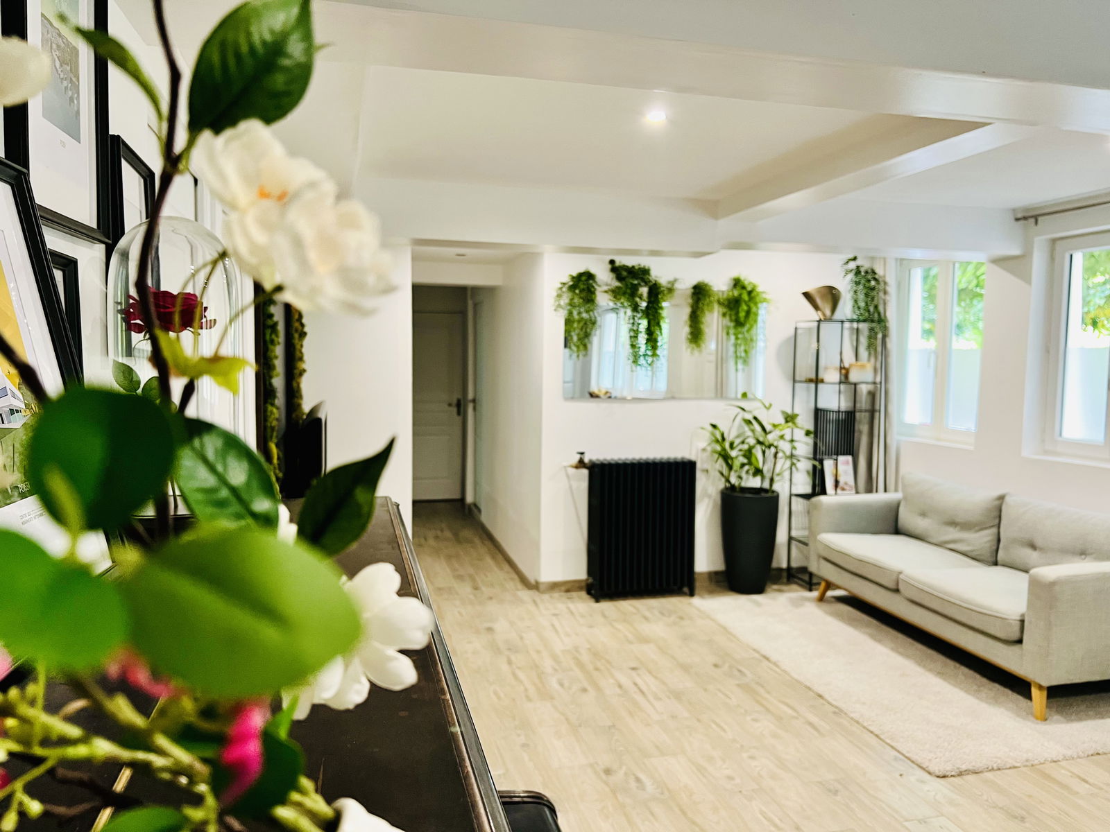 Kolokation Poissy 267035