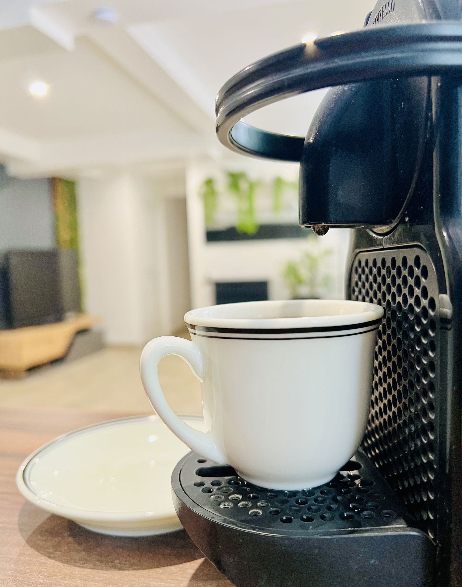 Kolokation Poissy 267035