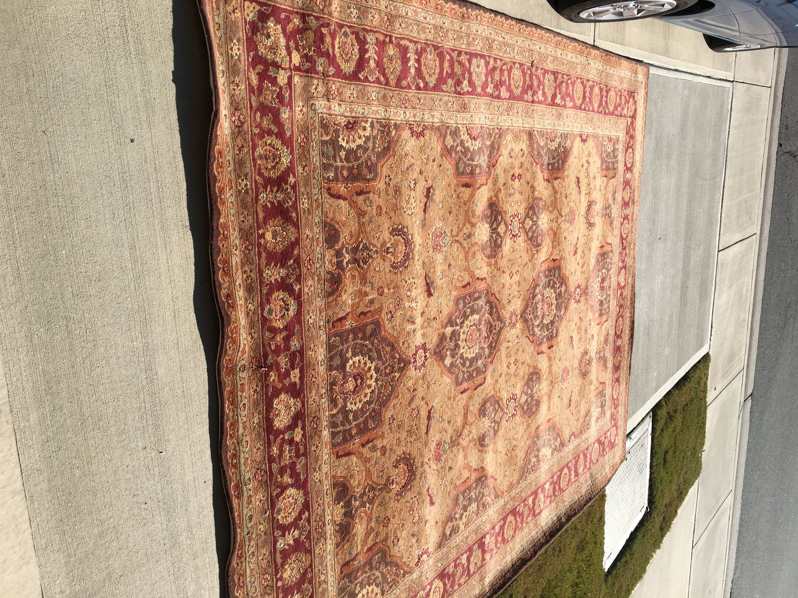 Gastfamilie Raleigh 190597