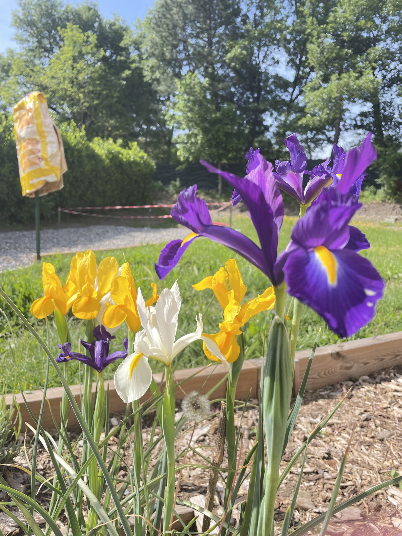 Gastfamilie Digne-les-Bains 386578