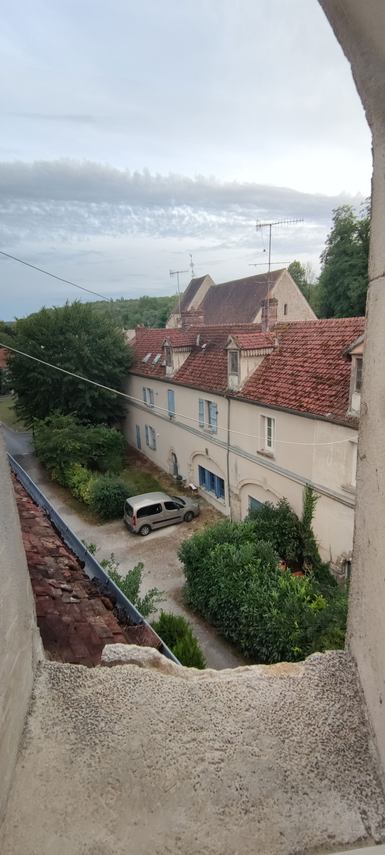 Kolokation Citry 266074