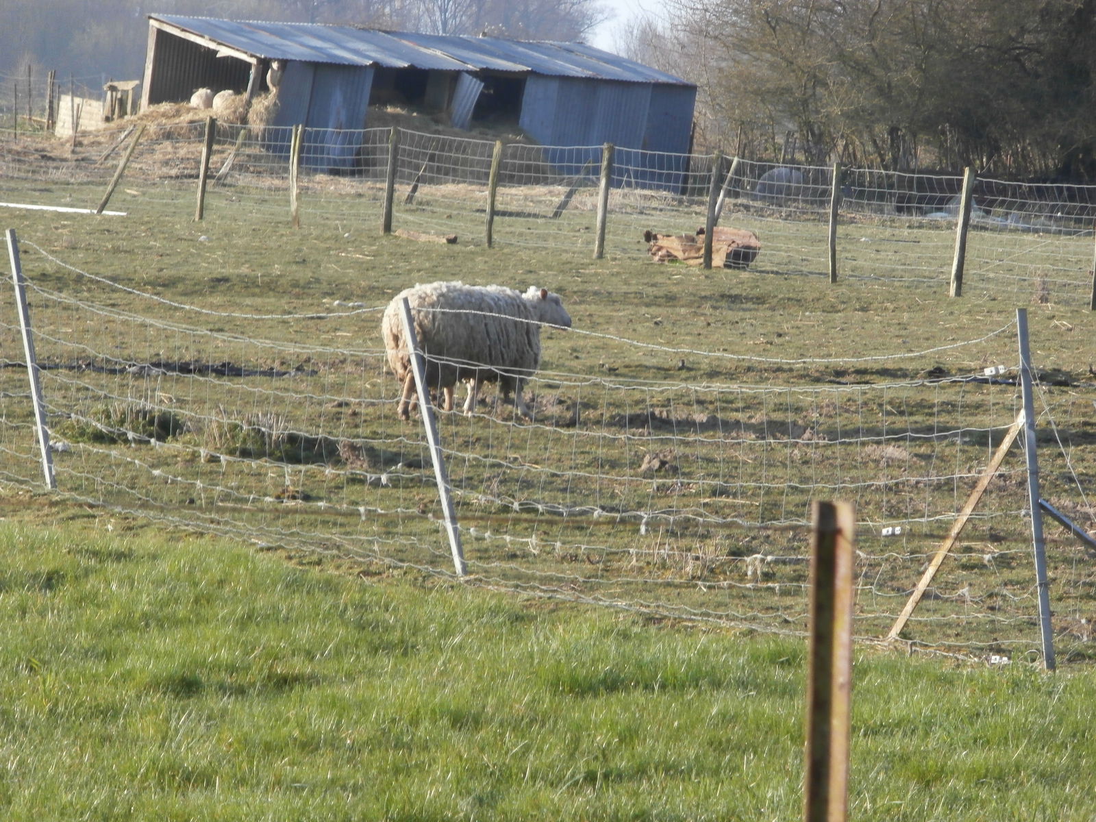 Gastfamilie Lagery 148718