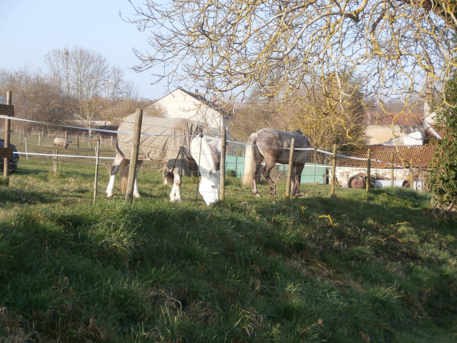 Gastfamilie Lagery 148718