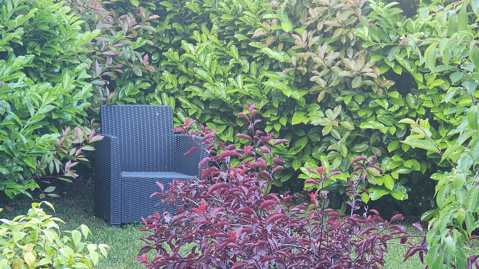 Homestay Deauville 240578