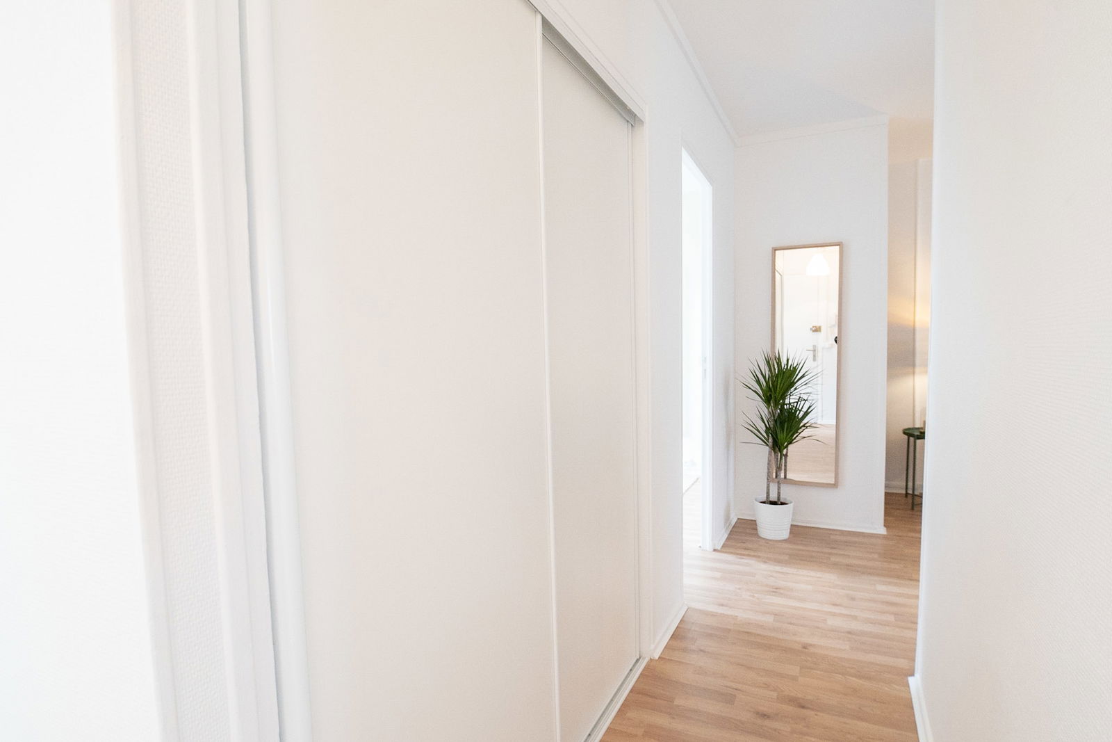 Colocation Rouen 542291