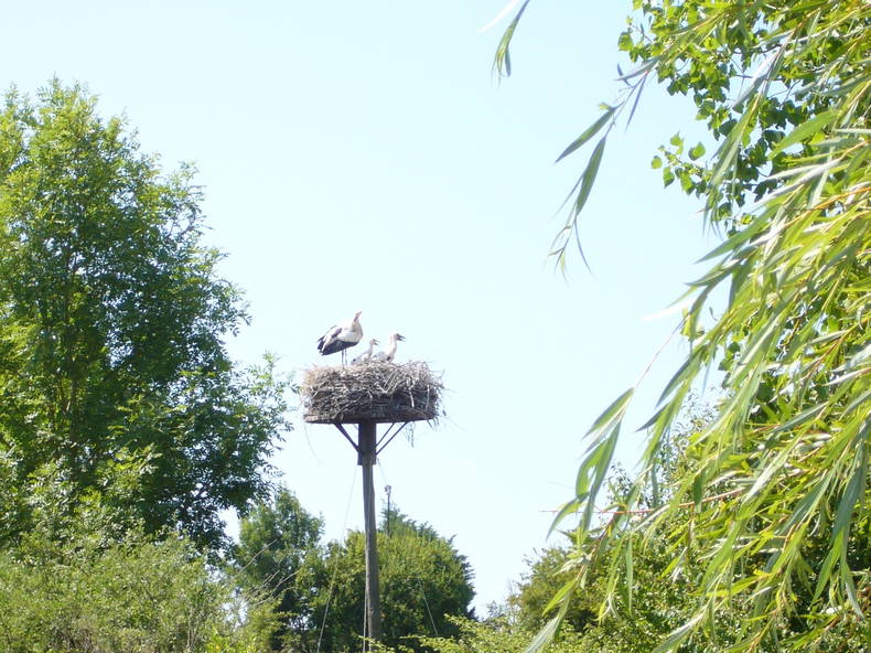 Logement Entier Hiers-Brouage 90571-3