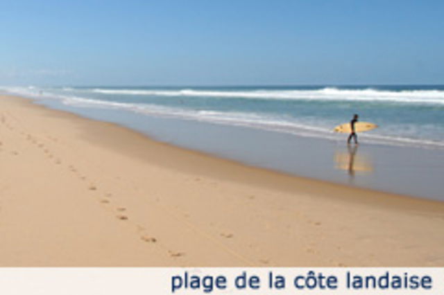 Studio Indépendant Gastes 54925