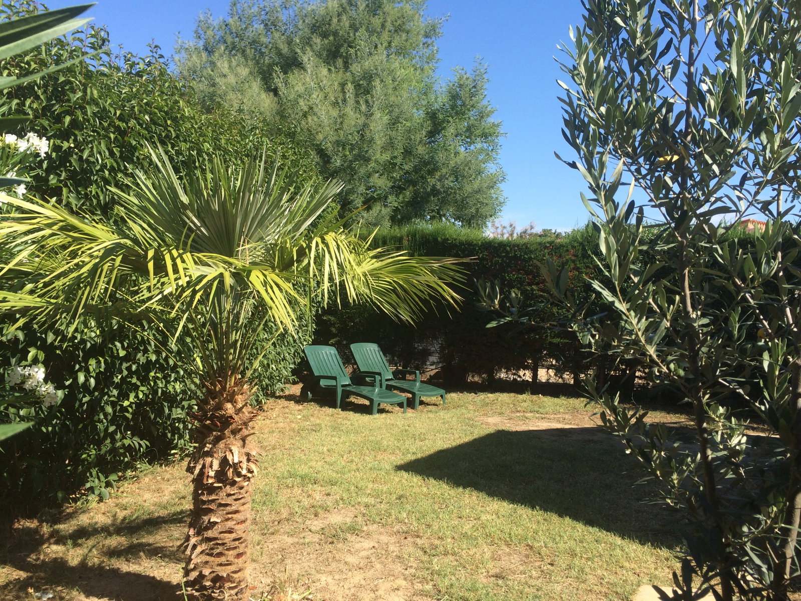 Gesamte Unterkunft Canet-en-Roussillon 165239