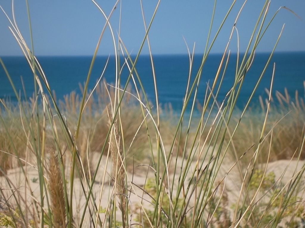 Uafhængigt Studie Hourtin 21233