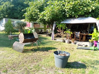 Toda La Casa Avignon 248088-2