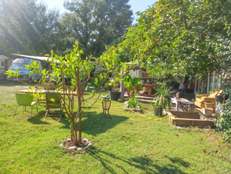 Toda La Casa Avignon 248088-1