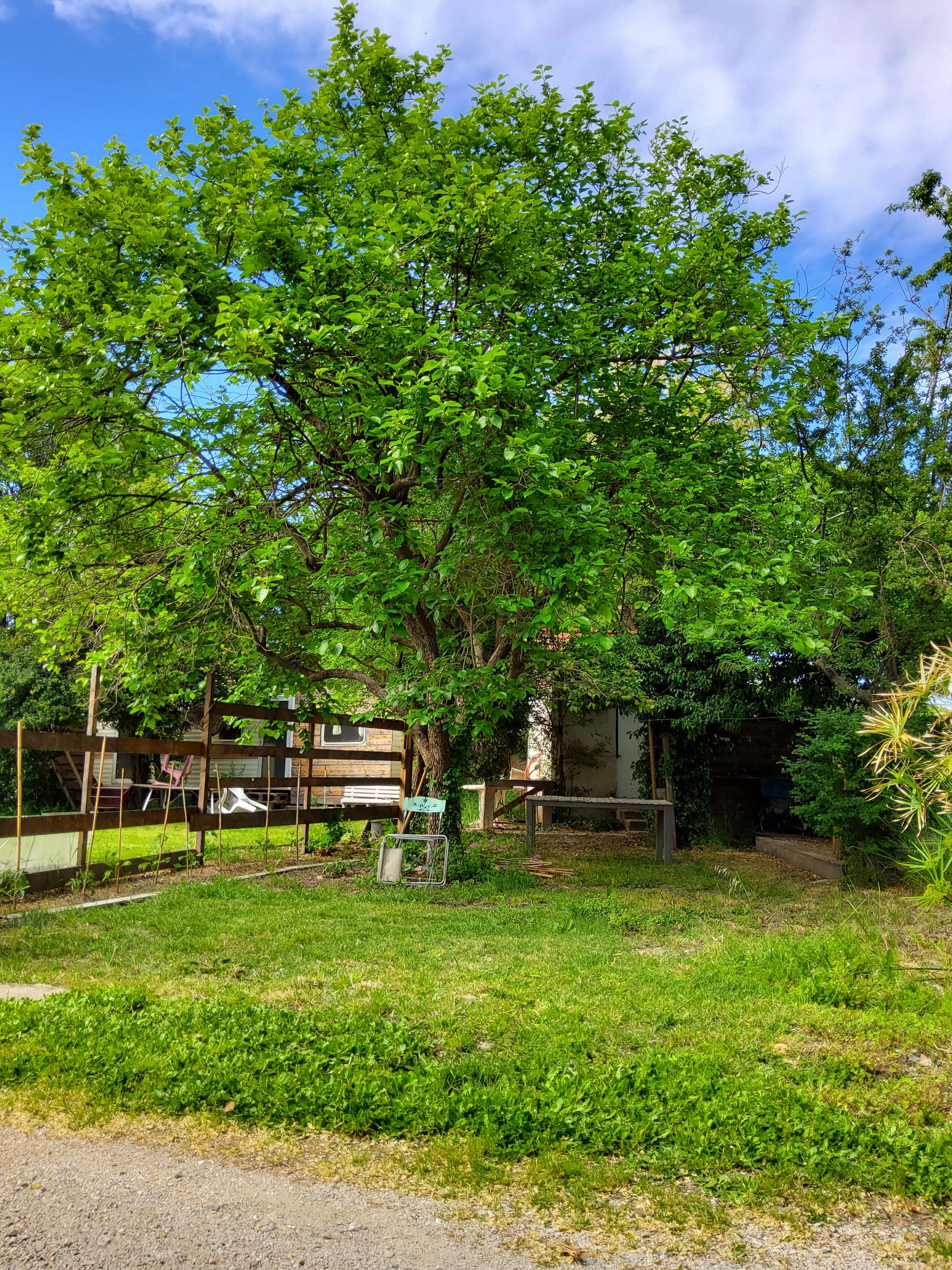 Entire Home Avignon 248088