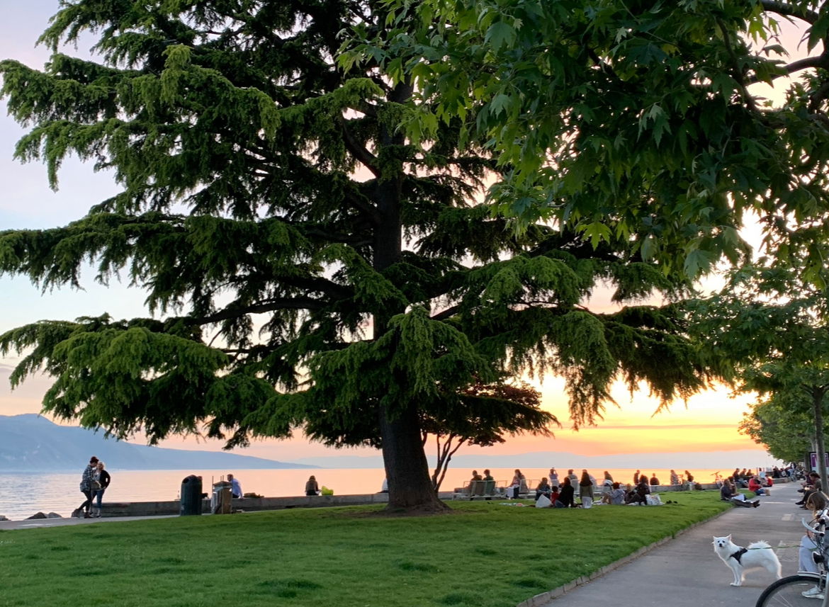 Gästezimmer Vevey 537793