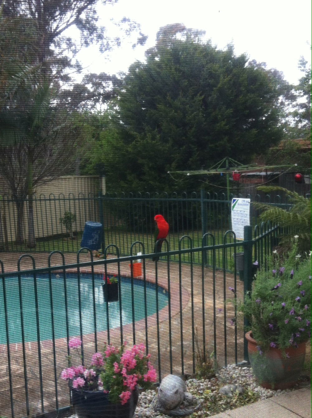 Homestay West Nowra 90188