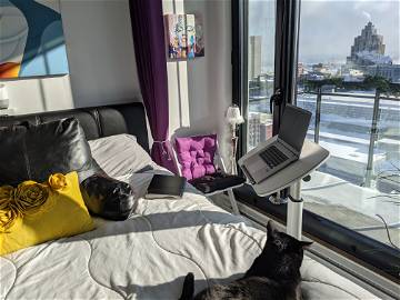 Logement Entier Montréal 262349-22