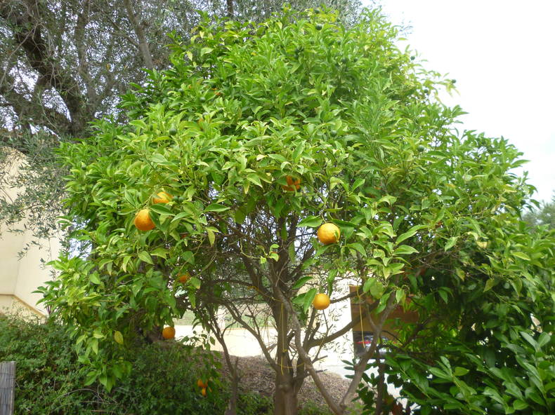 Tutta La Casa Mougins 79163-4