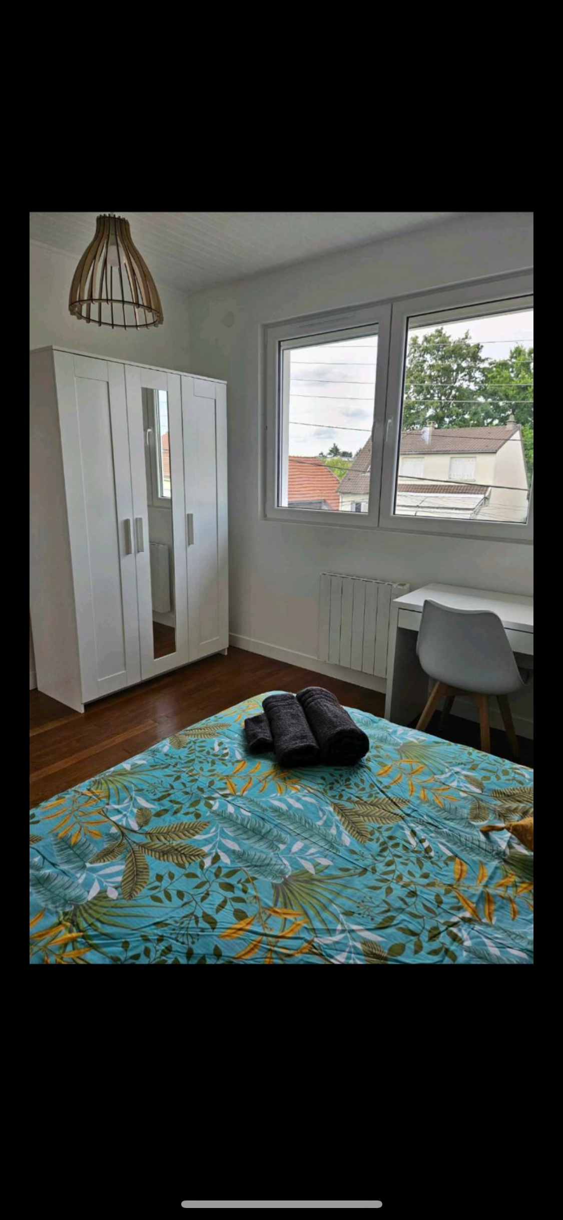 Kolokasie Orsay 412236