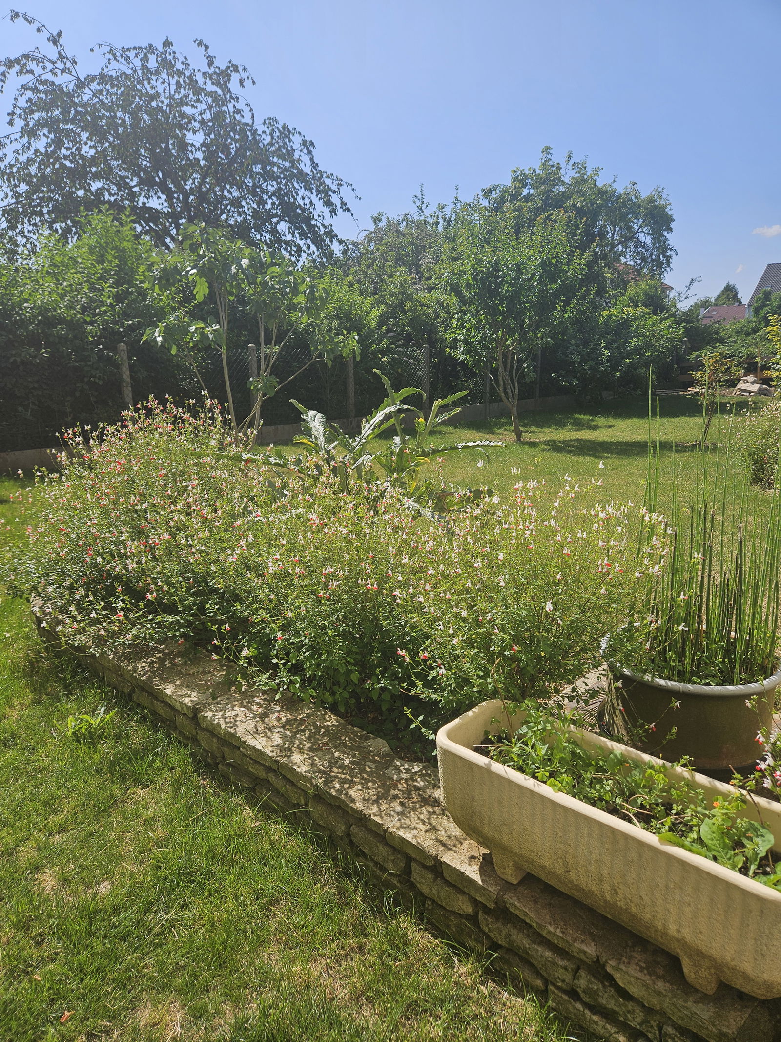 Kolokation Orsay 412236