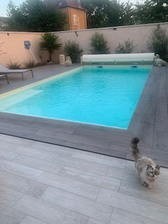 Gastfamilie Villefranche-sur-Saône 598513