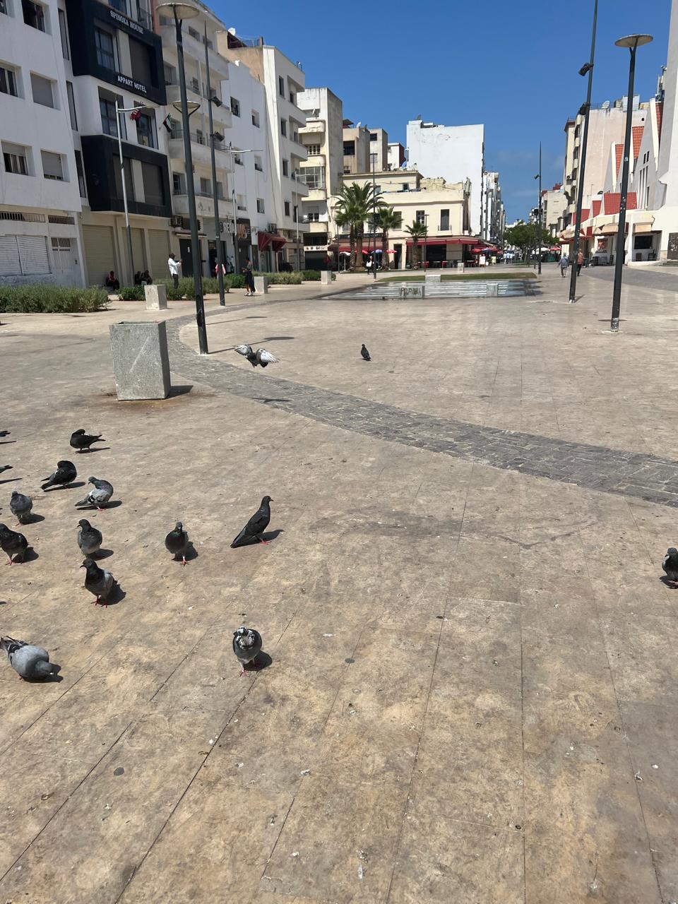 Tutta La Casa Casablanca 250922