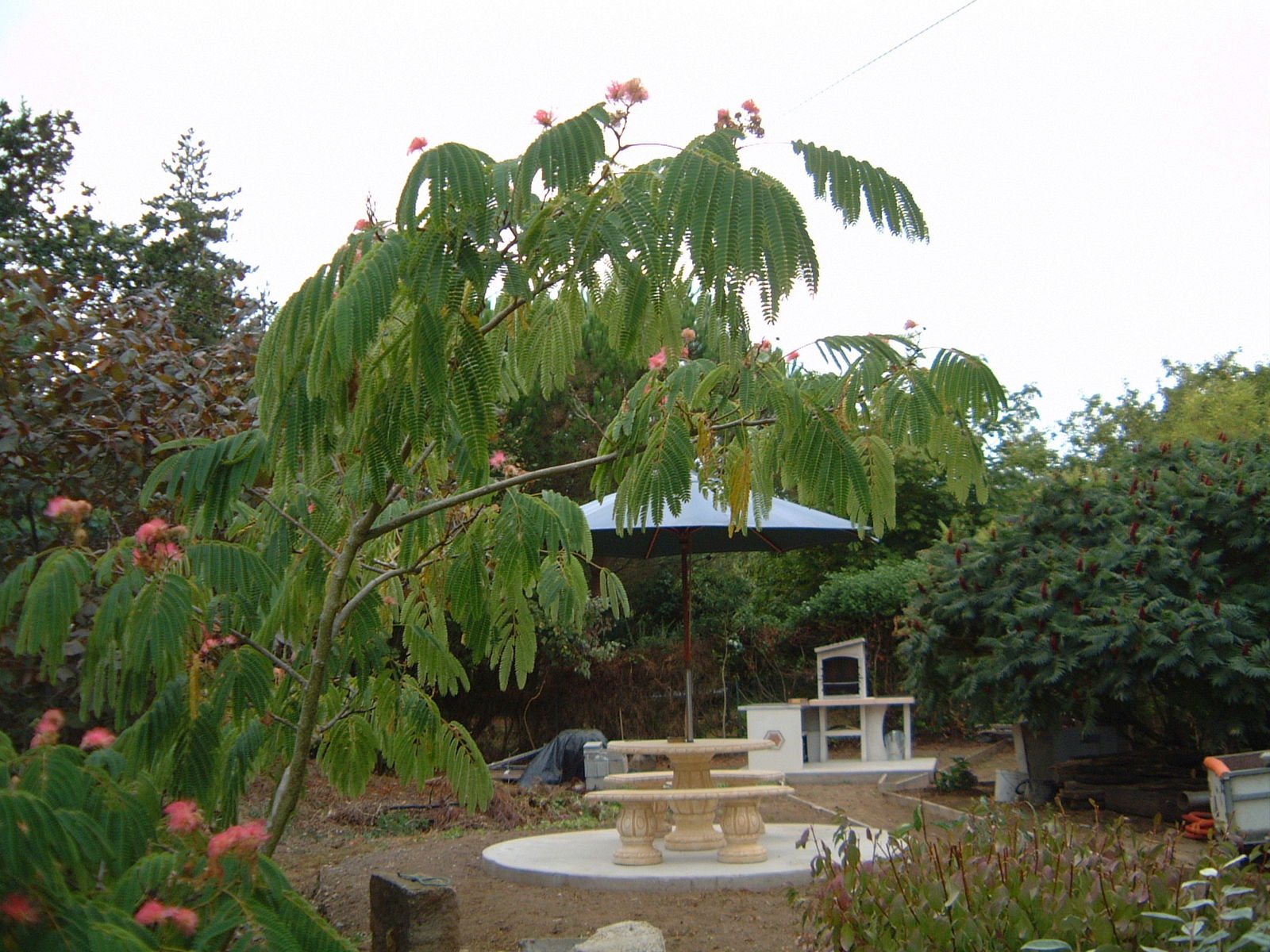 Oberoende Studio Plérin 96505