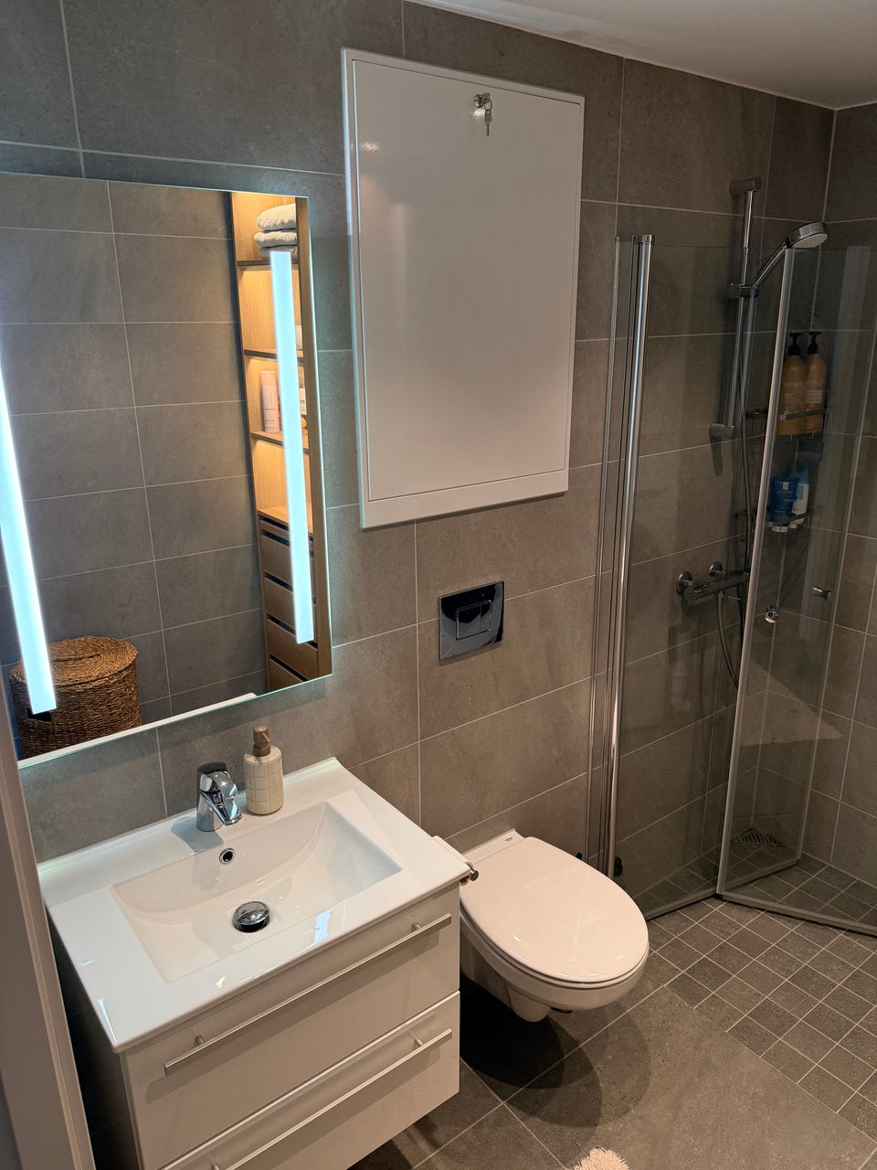 Hela Huset Lyon 664277