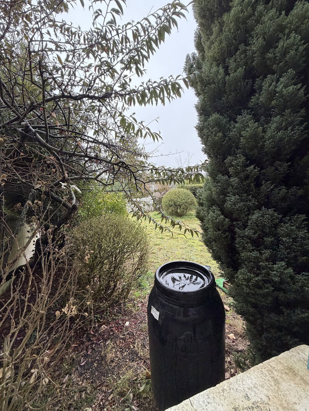 Hela Huset Saint-Germain-en-Laye 664187