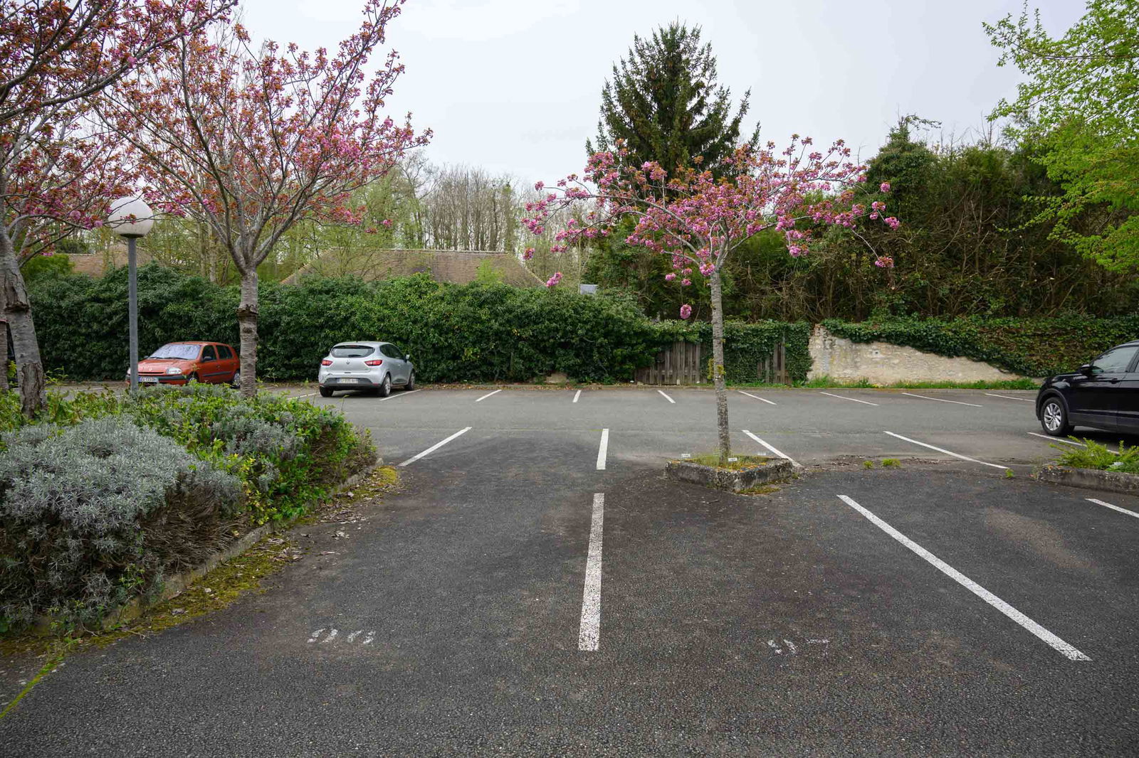 Oberoende Studio Lèves 377917