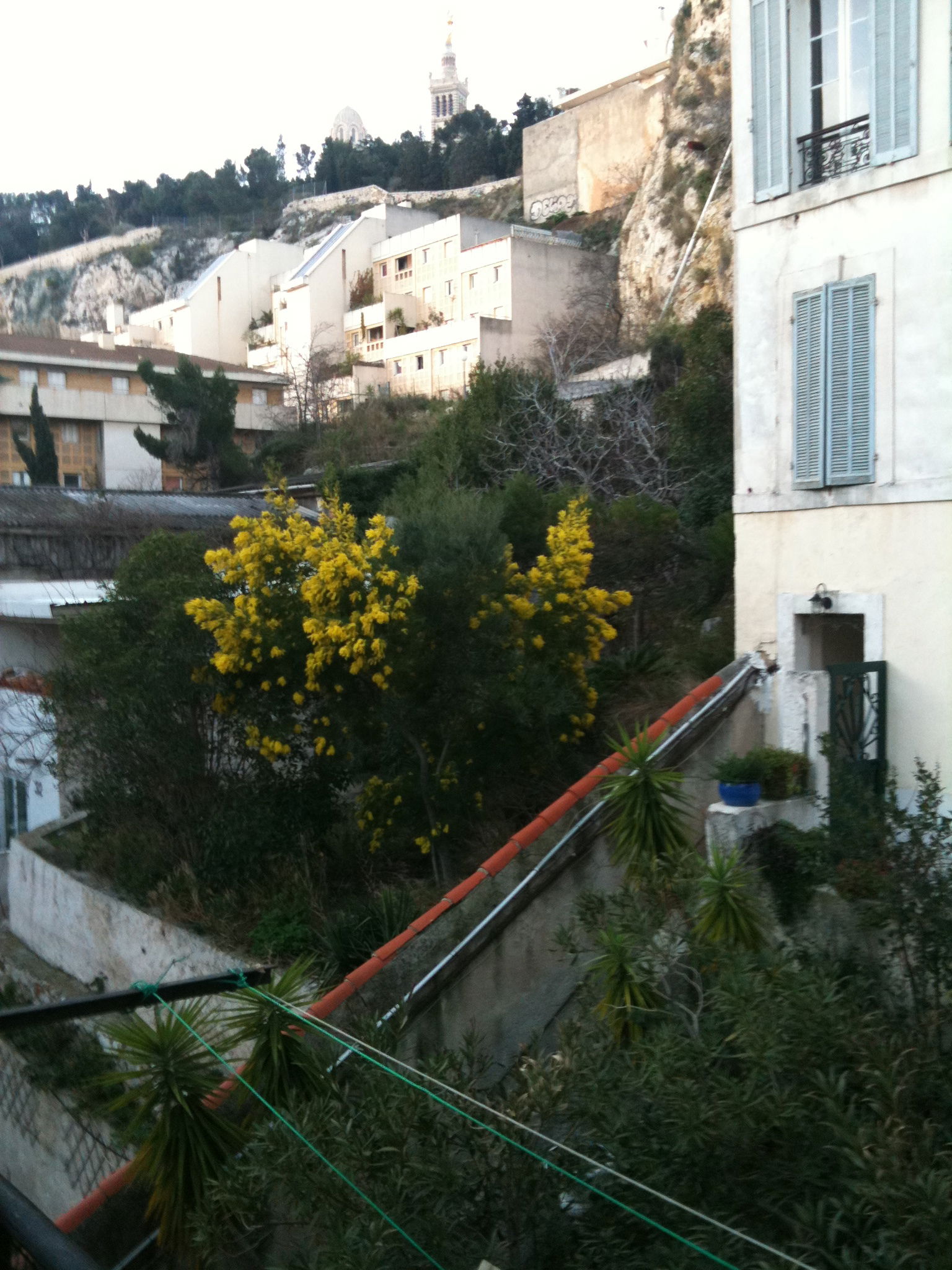 Oberoende Studio Marseille 99020