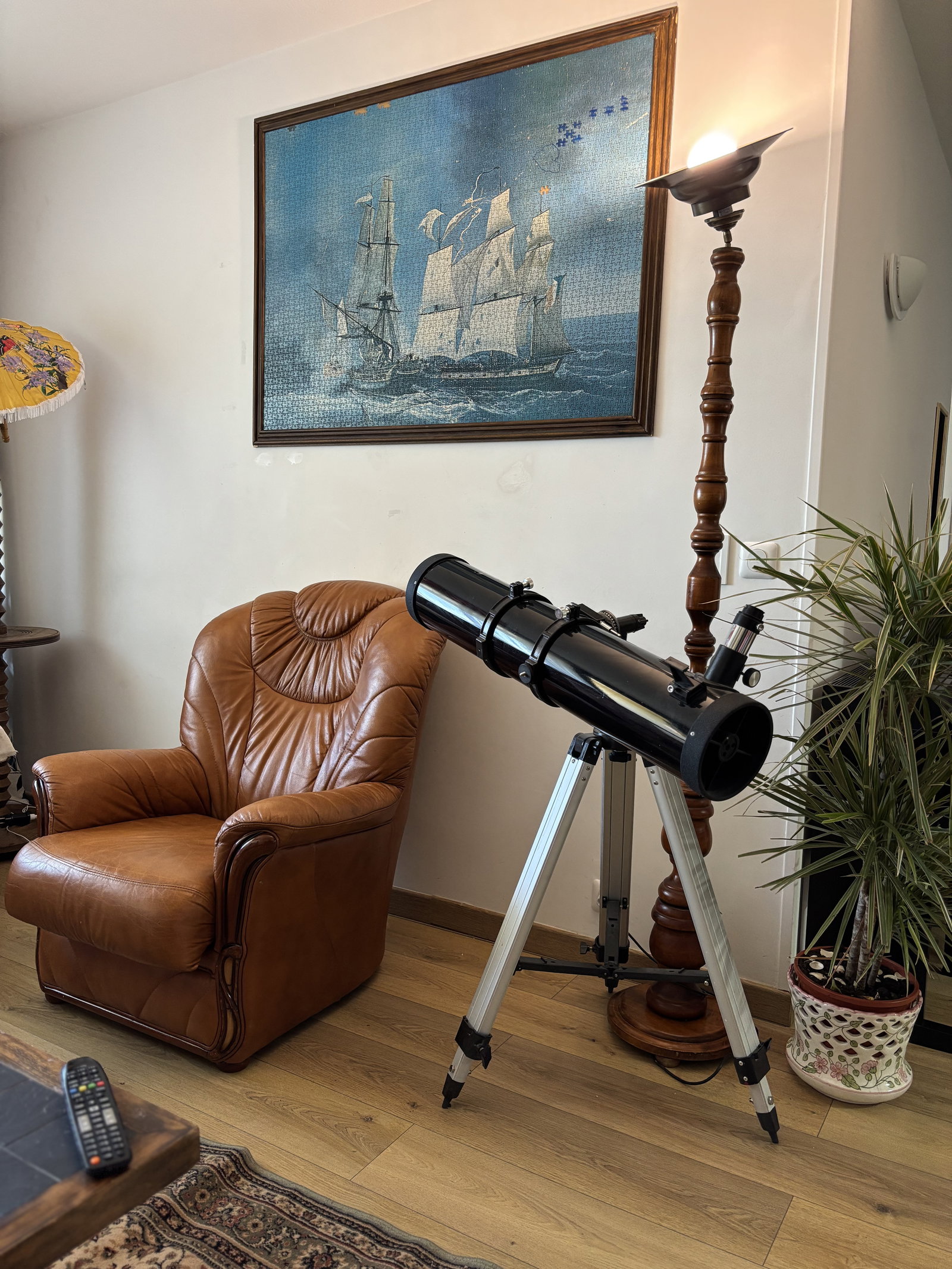 Colocation Ferney-Voltaire 515739