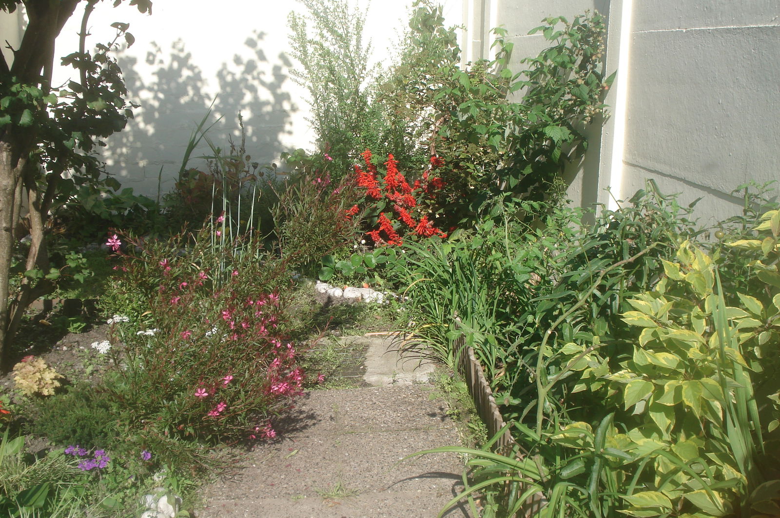 Oberoende Studio Fécamp 155811