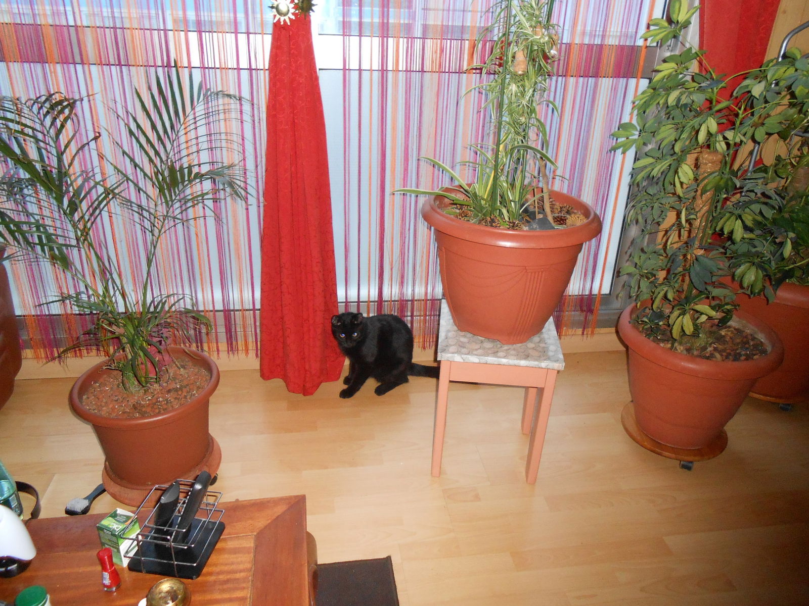 Hemvistelse Sucy-en-Brie 79886