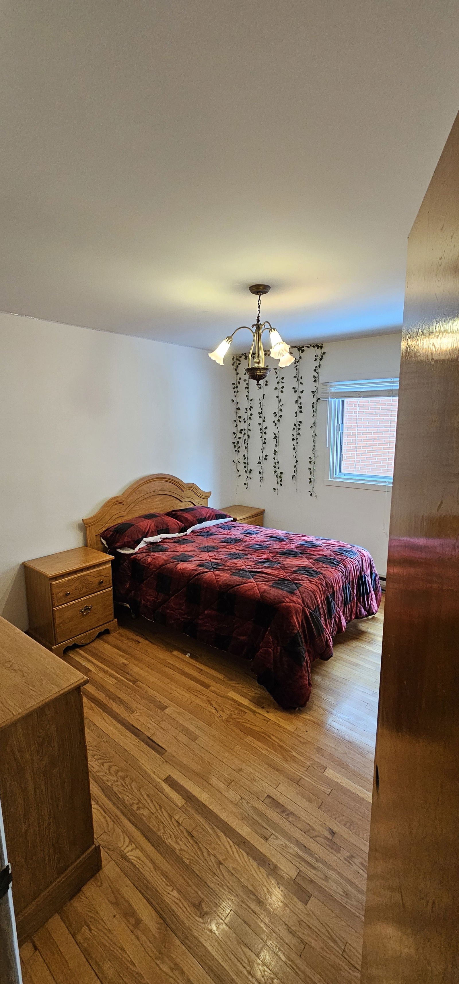 Colocation Montréal 494062