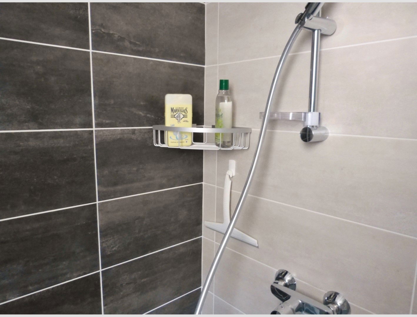 Colocation Perpignan 439805