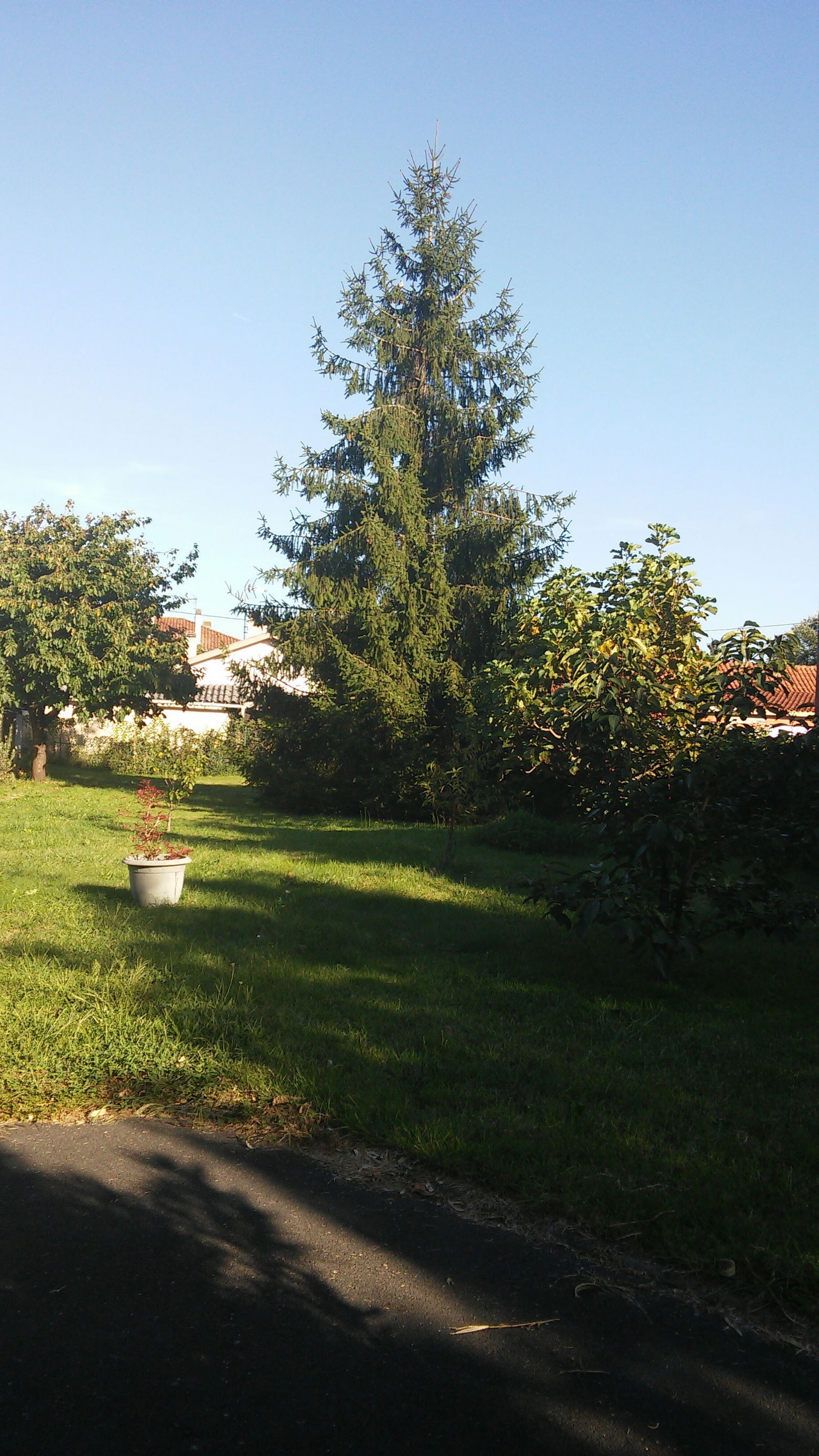 Gæsteværelser Bassens 133698