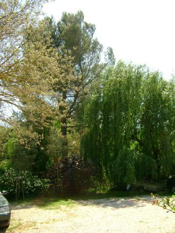 Hjemmeophold Aubagne 25649