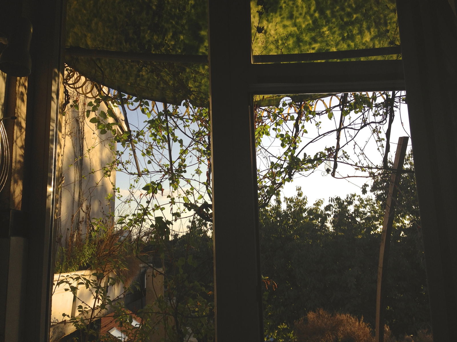 Colocation Schaerbeek 121938