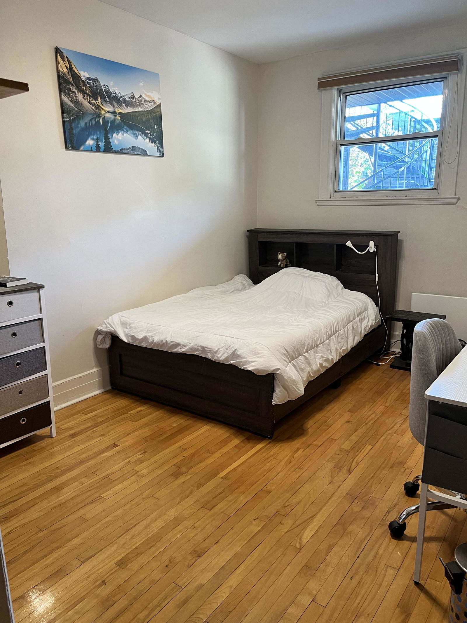 Colocation Montréal 330631